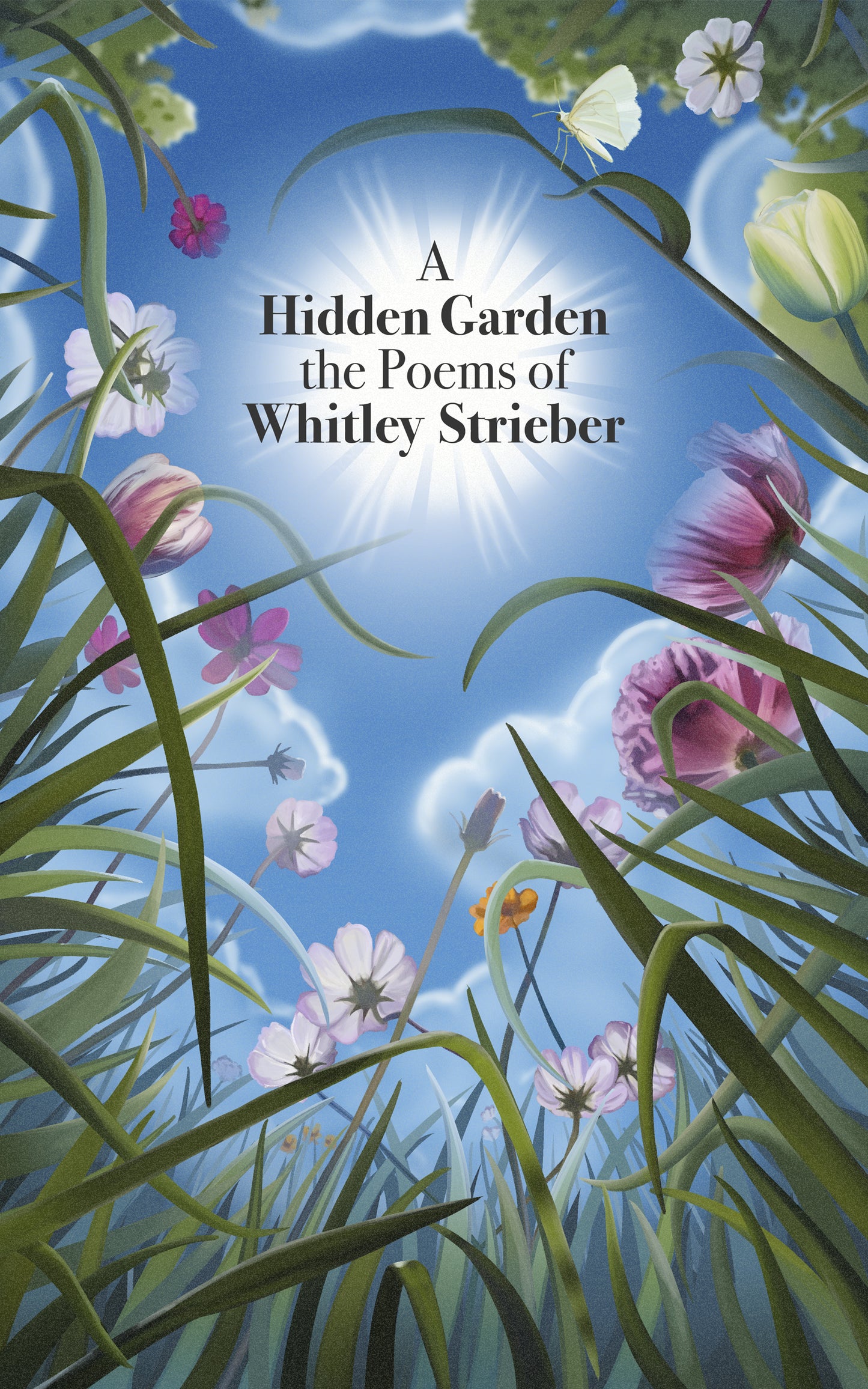 A Hidden Garden
